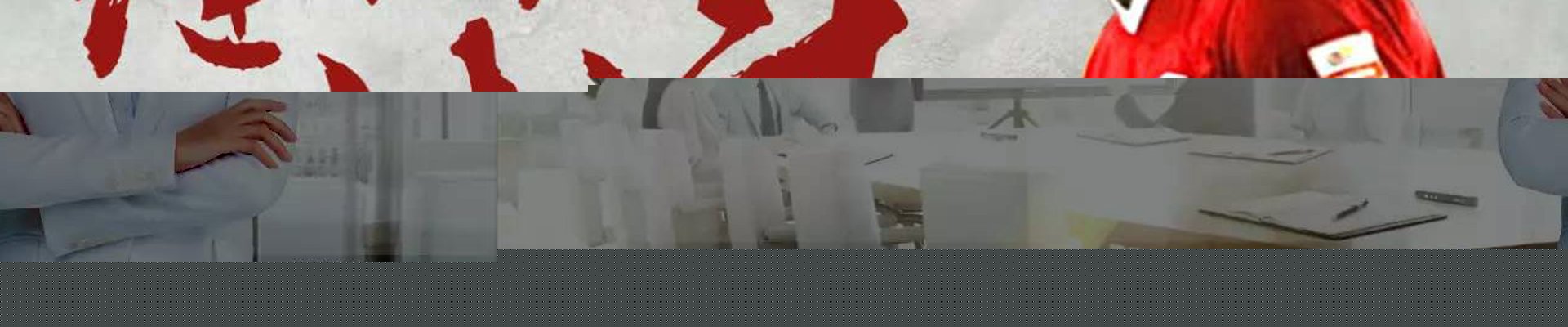 项目案例
